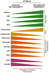 Image, graphical abstract