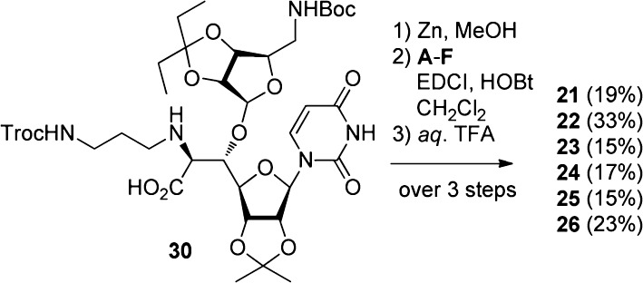 Scheme 2