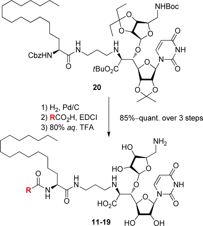 Scheme 1