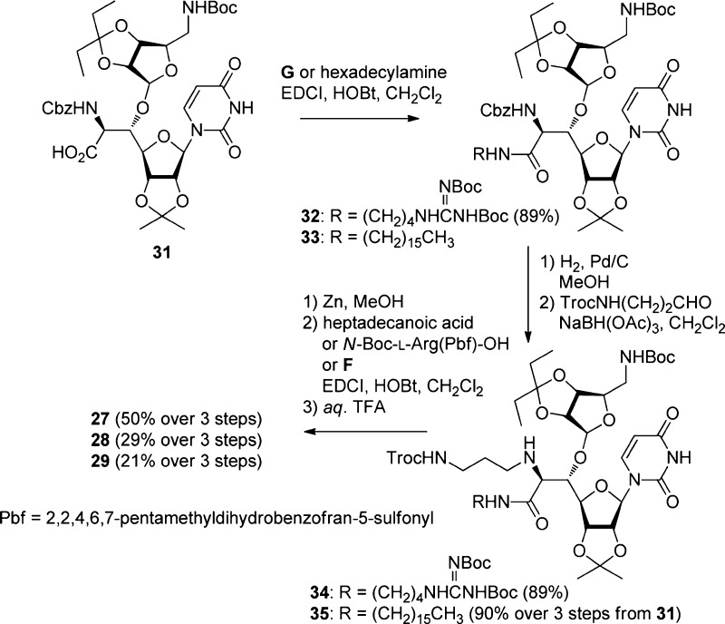 Scheme 3