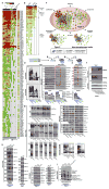 Extended Data Figure 5