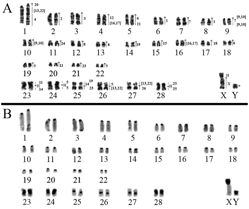 Fig 2