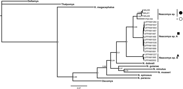 Fig 6