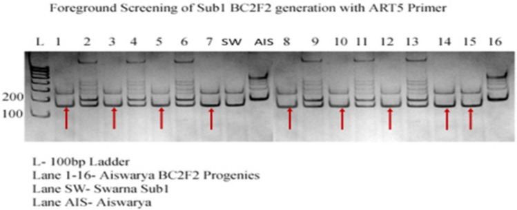 Fig. 12