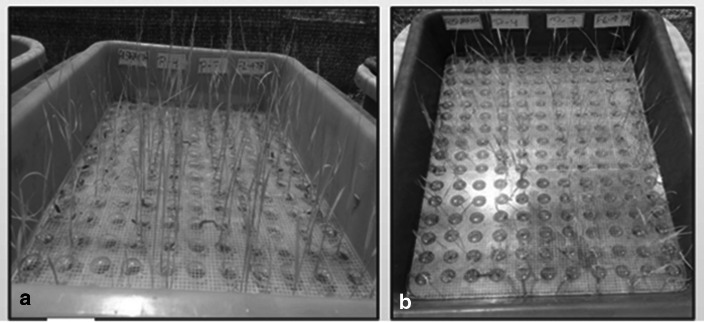 Fig. 15