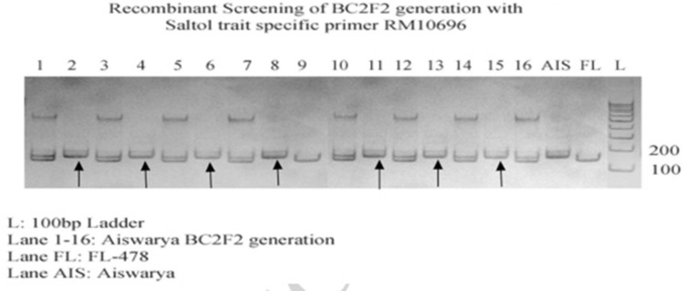 Fig. 10