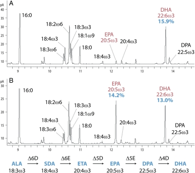 Fig. 4