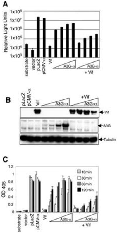 FIG. 3