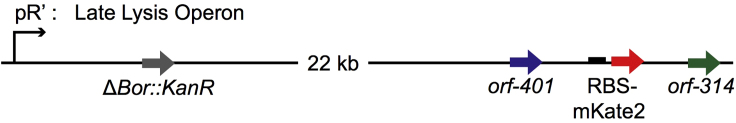 Figure 7