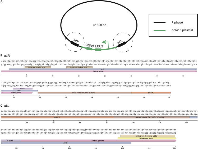 Figure 5