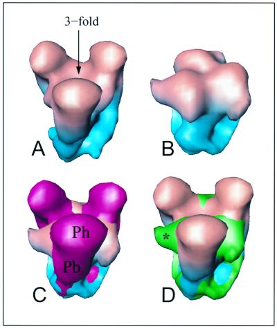 FIG. 4