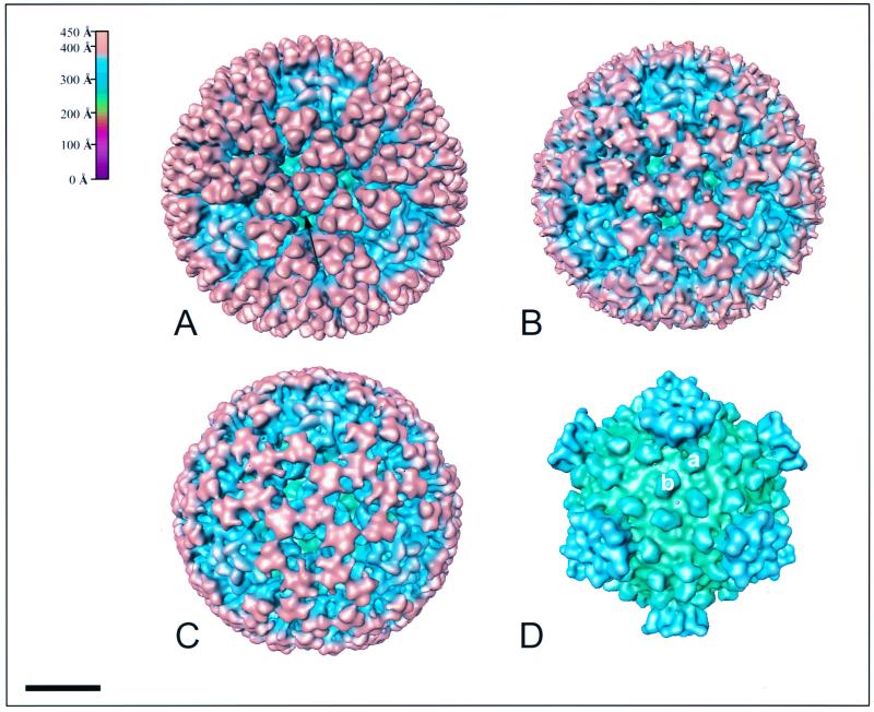 FIG. 3