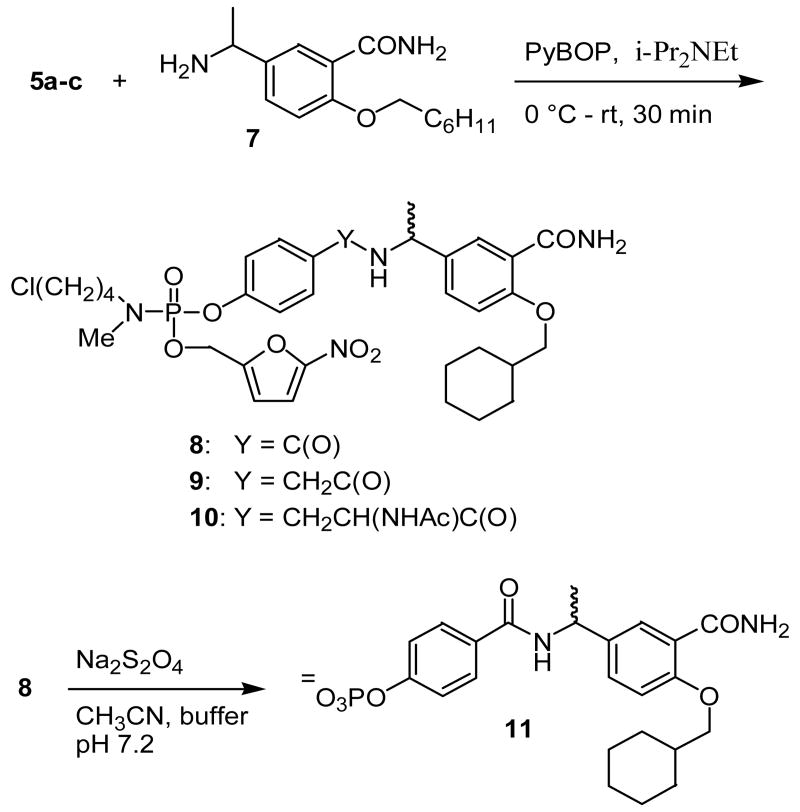 Scheme 4