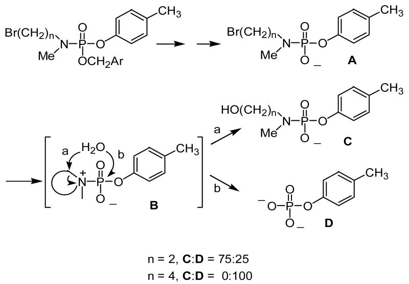 Scheme 2