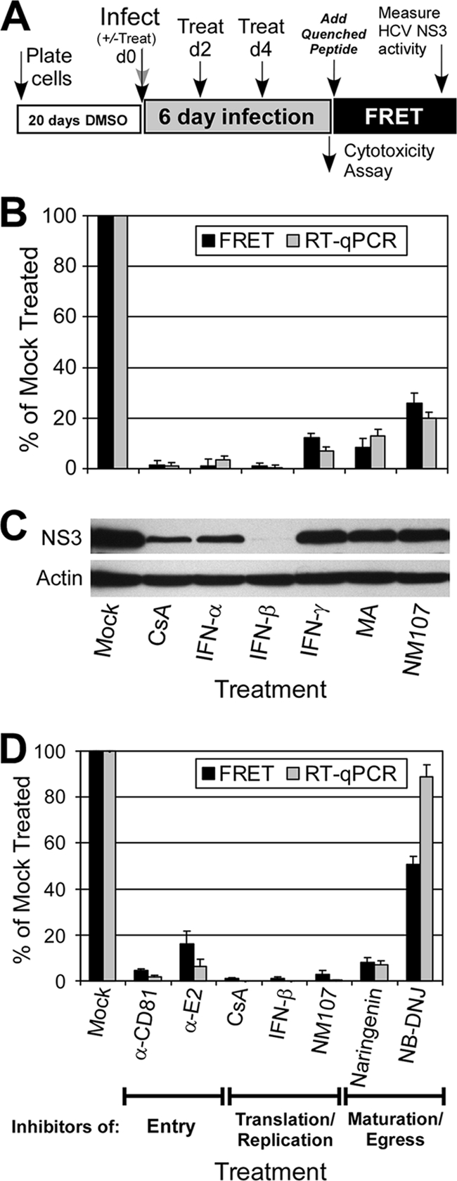 FIG. 6.