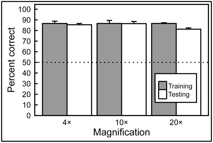 Fig 7