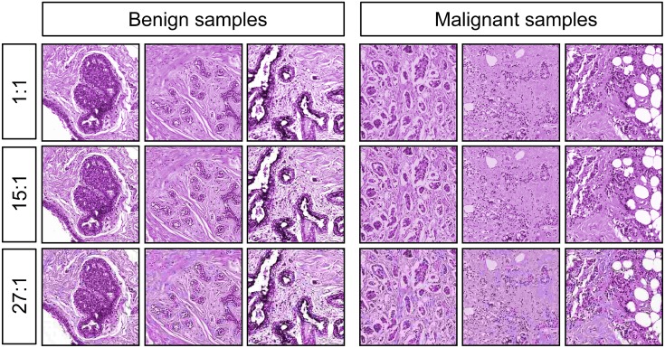 Fig 3