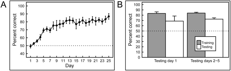 Fig 11