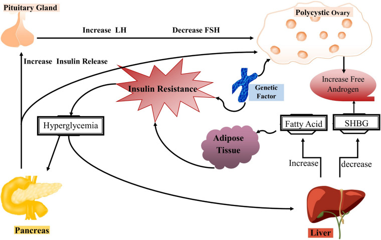 FIGURE 4