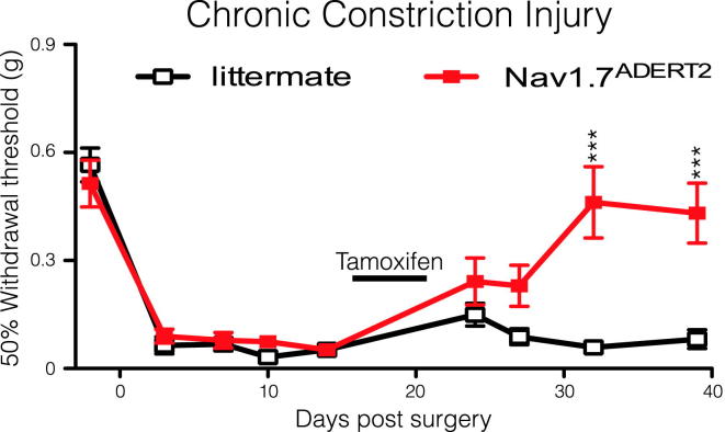 Figure 5