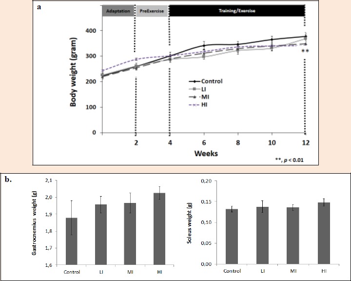 Figure 4a.