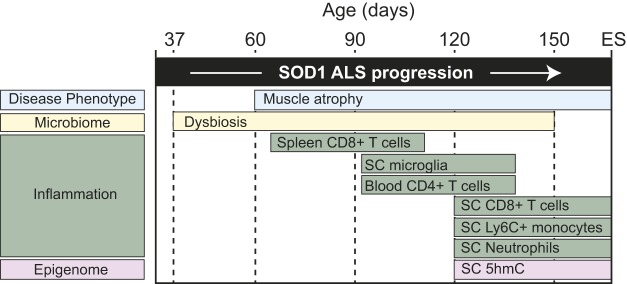 Fig. 8.