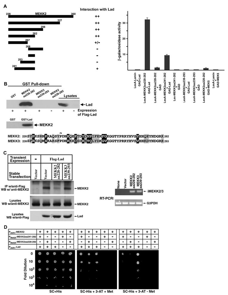 FIG.4.