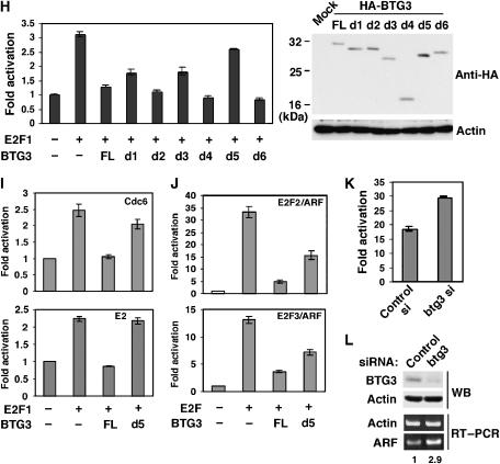 Figure 7hl