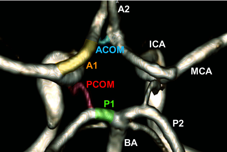 FIG 1.
