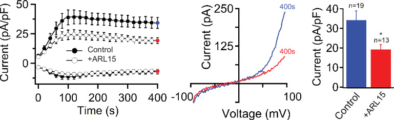 Figure 3—figure supplement 4.