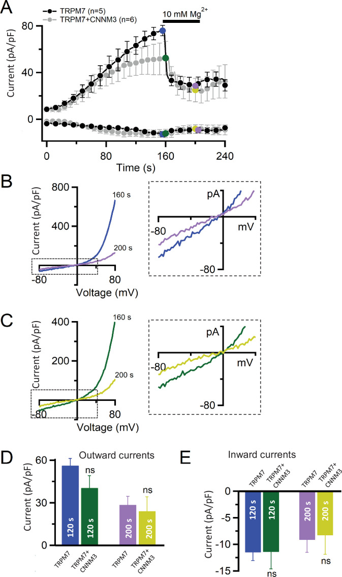 Figure 4—figure supplement 1.