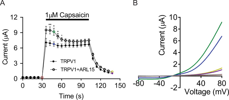 Figure 3—figure supplement 1.