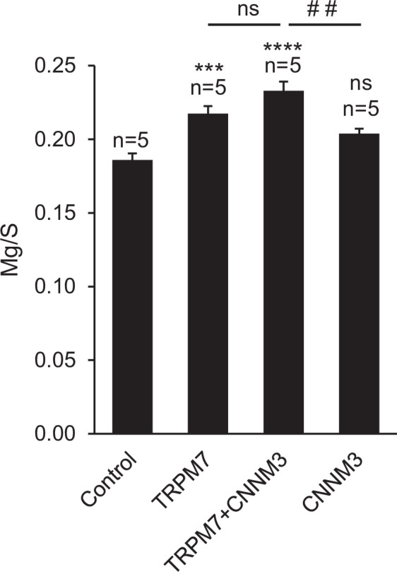 Figure 4—figure supplement 2.