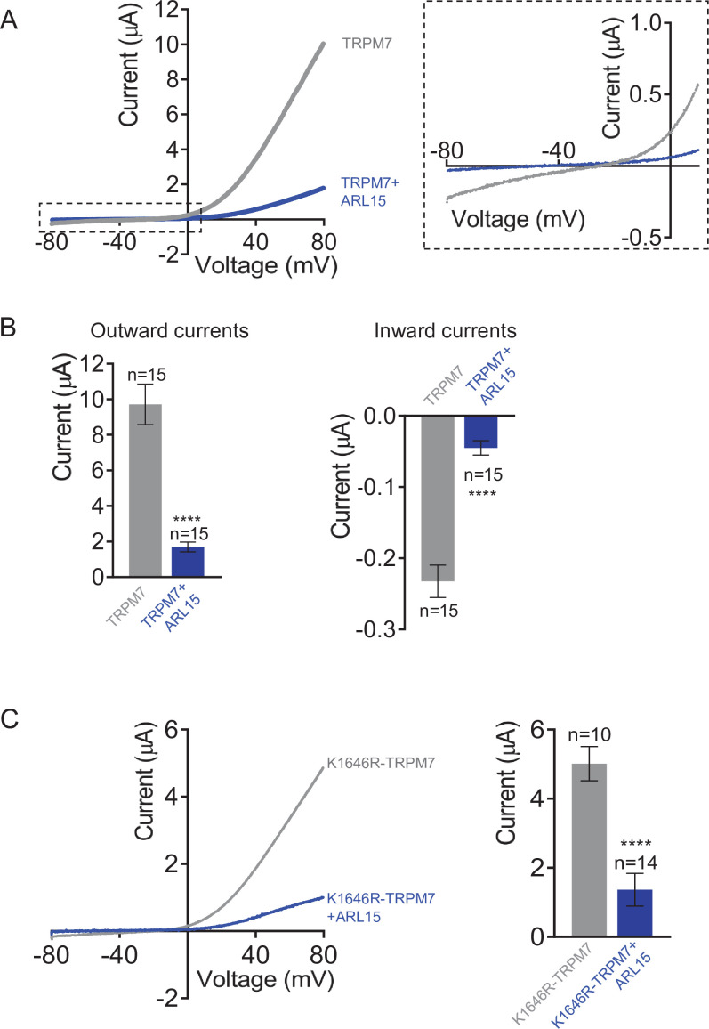 Figure 3—figure supplement 3.