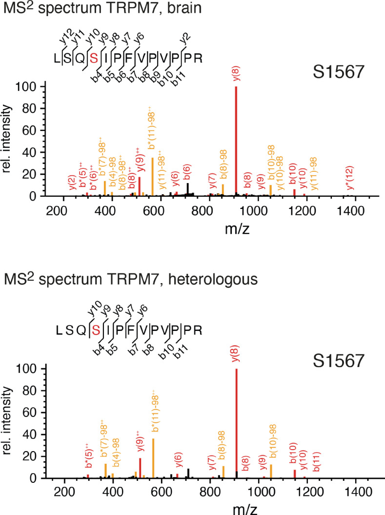 Figure 6—figure supplement 1.