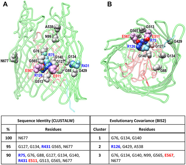 Figure 5.