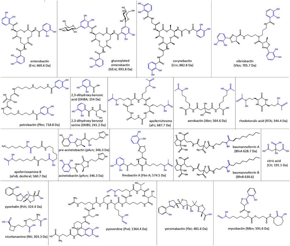 Figure 3.