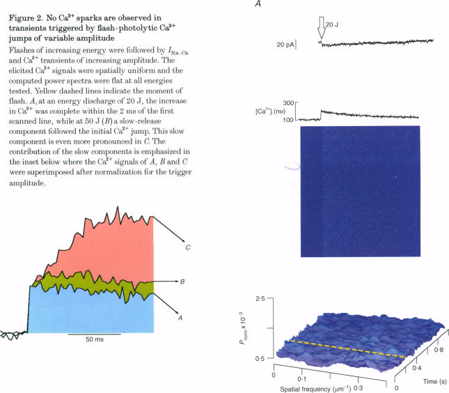 Figure 2 (cont.)