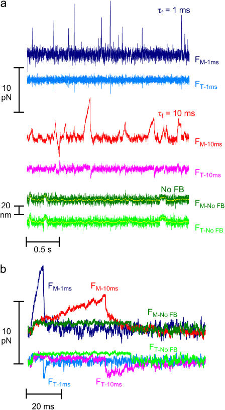 FIGURE 4