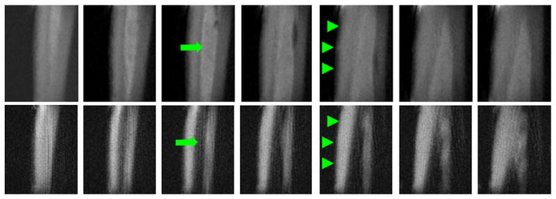 Fig. 8