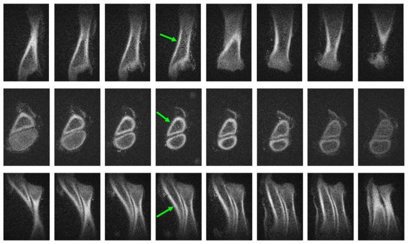 Fig. 7