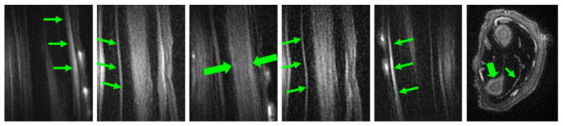 Fig. 9