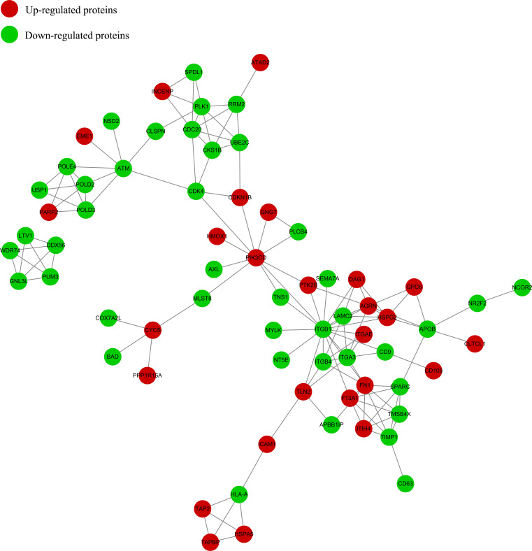 Fig. (5)