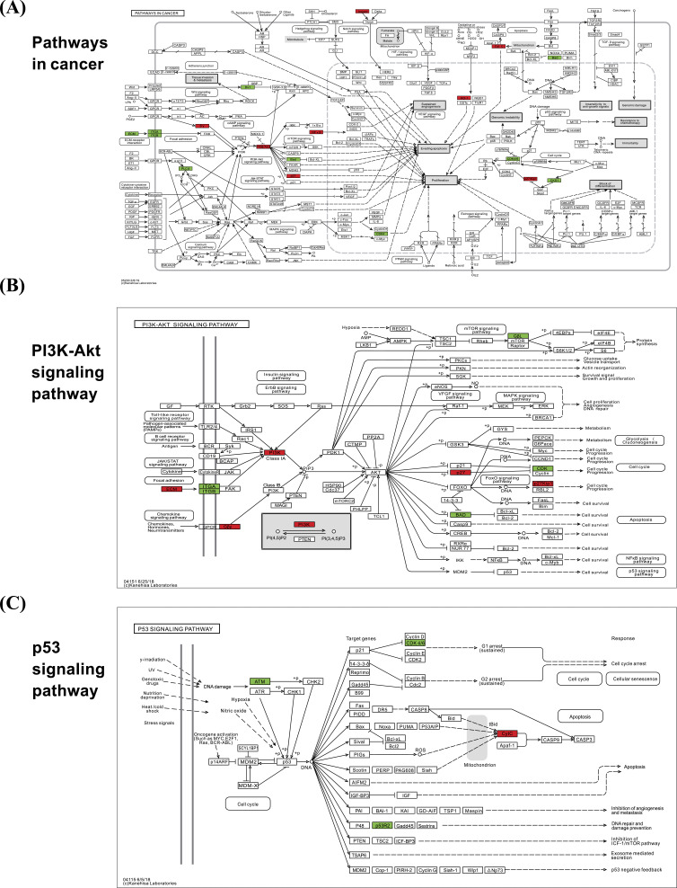 Fig. (4)