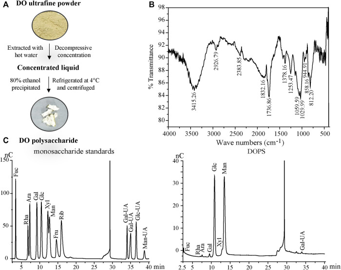 FIGURE 1