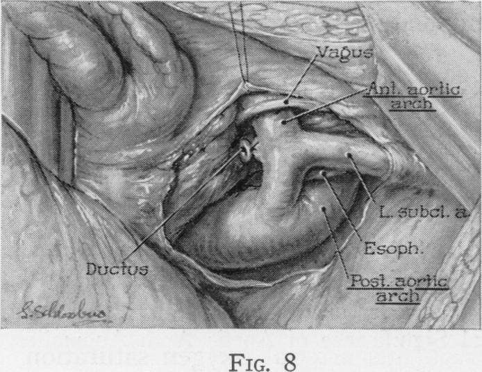 Fig. 8.