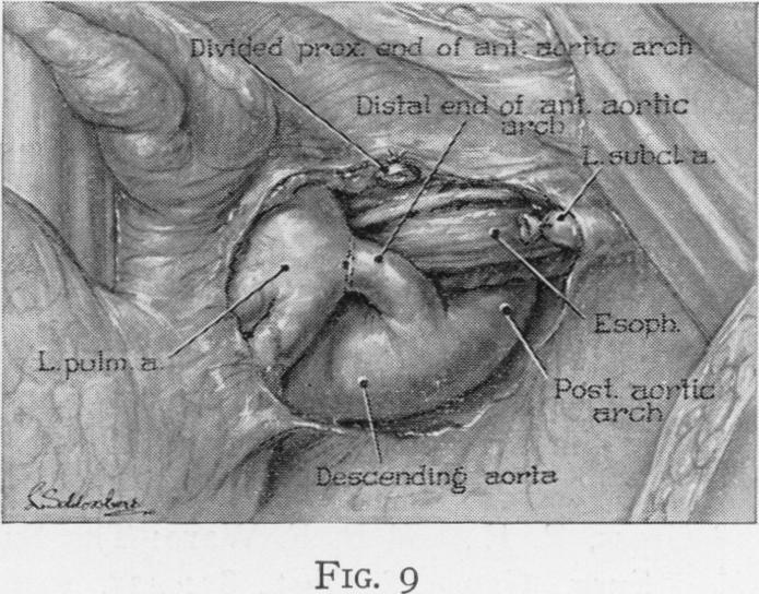 Fig. 9.