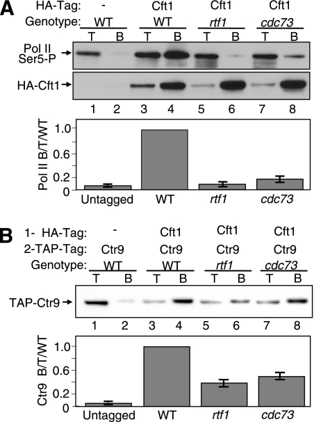 FIG. 5.