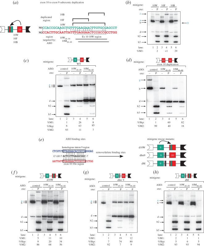 Figure 2.