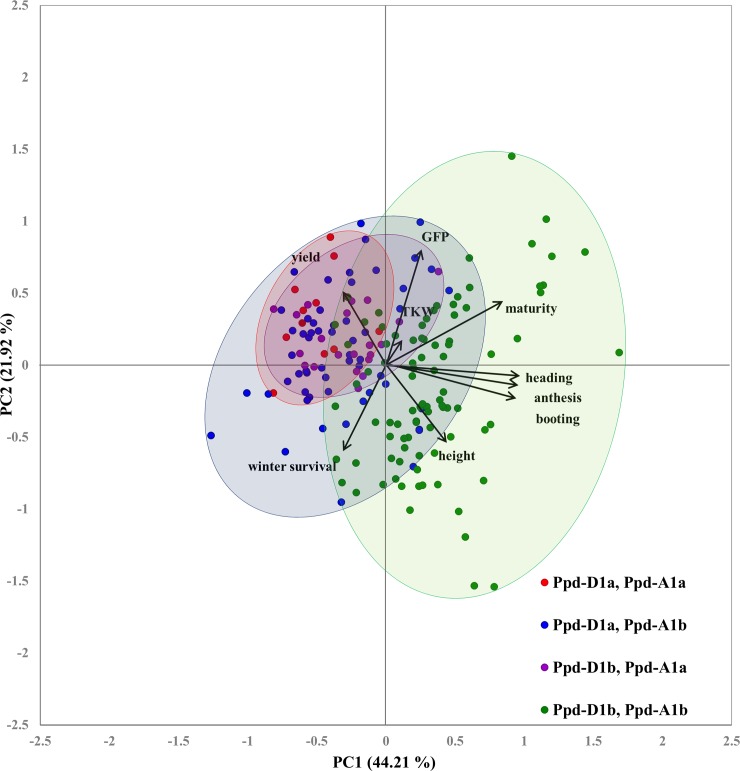 Fig 3